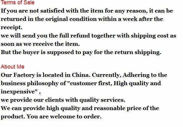 2025 Shipping Professional Straightening Irons Electric Hair Straightener Flat Iron Fast Warm Up Styling Tools