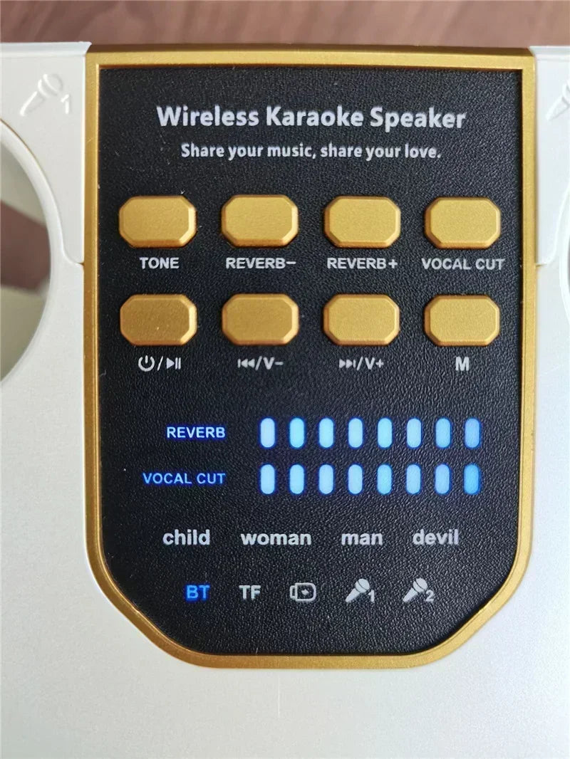 High Power Karaoke Bluetooth Speaker Portable 360 Stereo Surround Wireless Subwoofer with 2 Microphone Boombox Child Home Gift